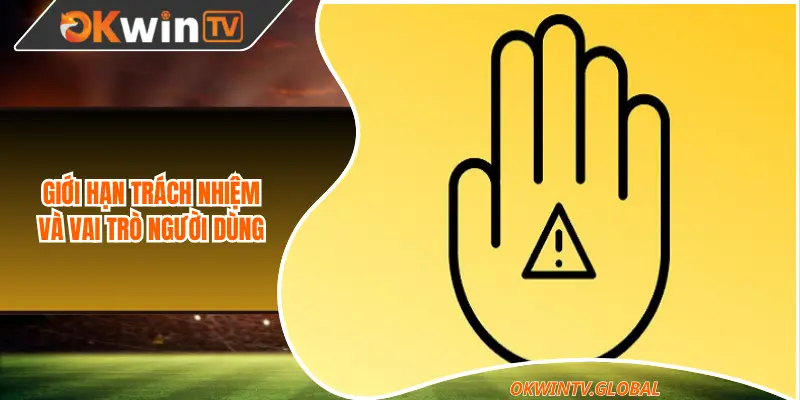 Giới hạn trách nhiệm và vai trò người dùng tại OkwinTV