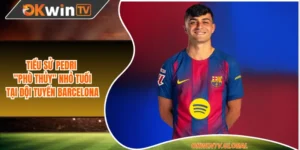 Tiểu Sử Pedri - “Phù Thủy” Nhỏ Tuổi Tại Đội Tuyển Barcelona