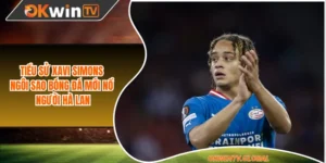 Tiểu Sử Xavi Simons - Ngôi Sao Bóng Đá Mới Nổi Người Hà Lan