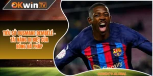 Tiểu Sử Ousmane Dembélé - Tài Năng Dị Biệt Của Bóng Đá Pháp
